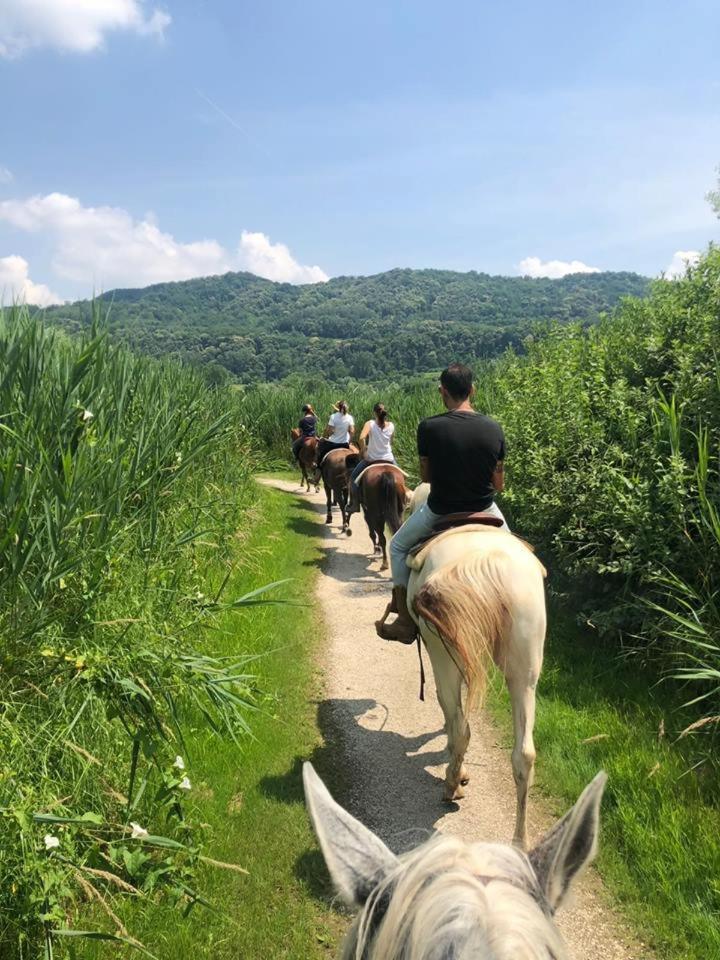 Agriturismo La Dolza Фоллина Экстерьер фото